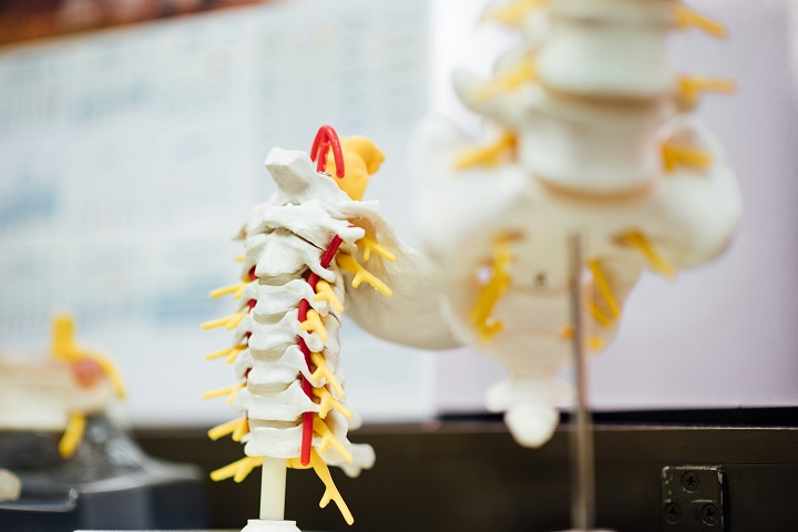 Treatment for spinal cord injury